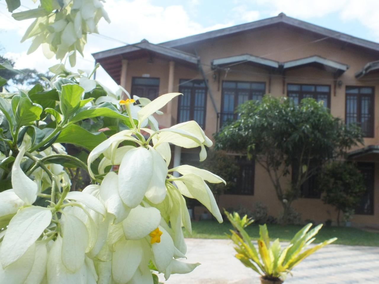 Hillsview Rest & Guest House Матале Екстериор снимка