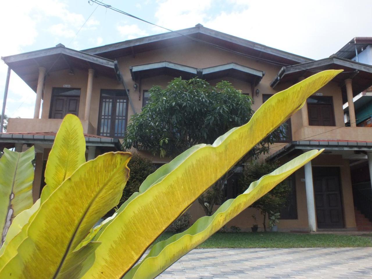 Hillsview Rest & Guest House Матале Екстериор снимка